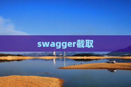 swagger截取